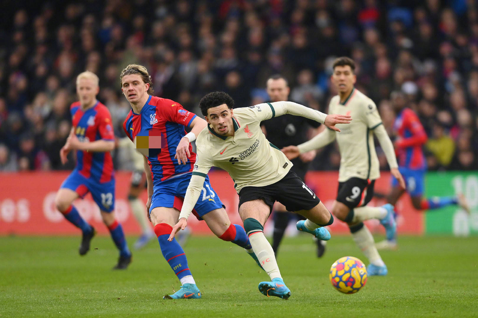 无法忽视的 无法忽视的